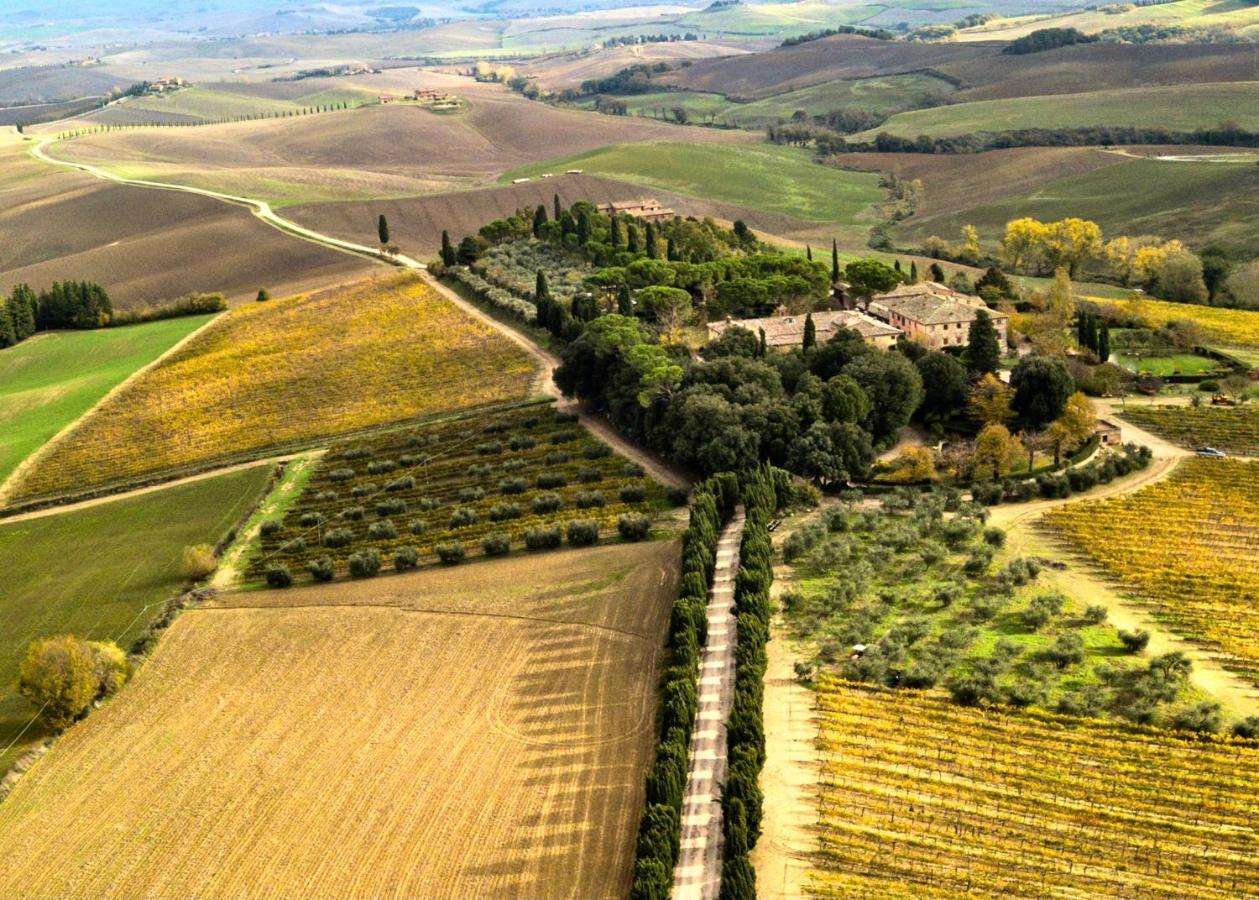 Villa Buonsignori - Wine & Olive Oil Farm Corsano  Екстер'єр фото