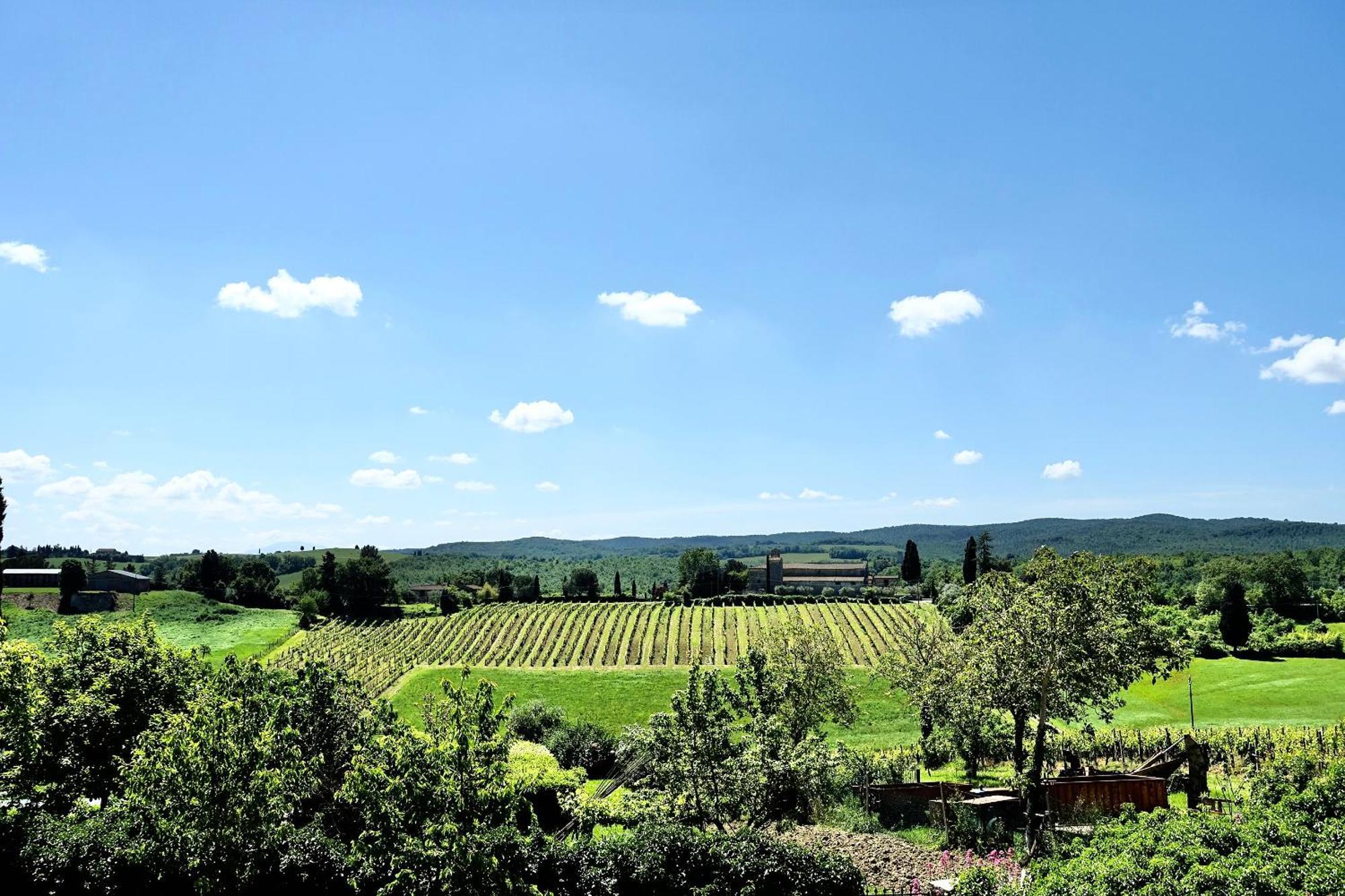 Villa Buonsignori - Wine & Olive Oil Farm Corsano  Екстер'єр фото